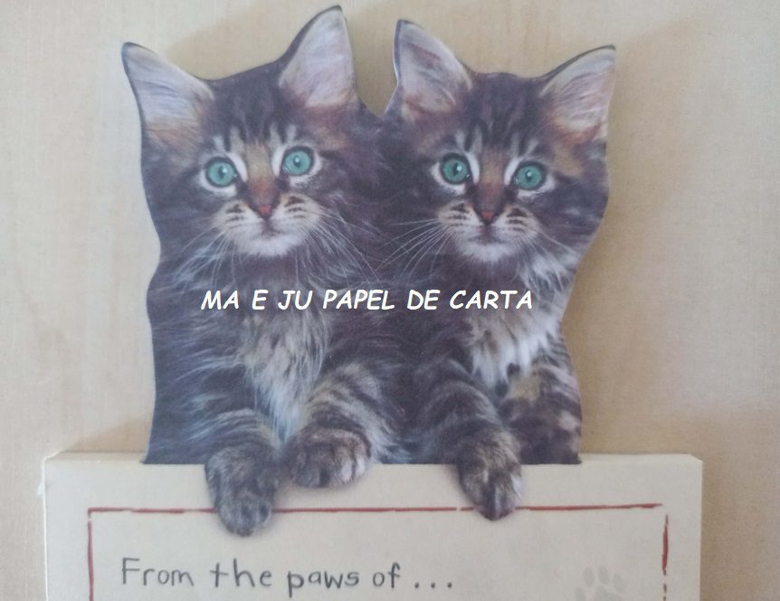 BICHINHO CAT FOLHA AVULSA IMPORTADA = BI118 - Imagem 2