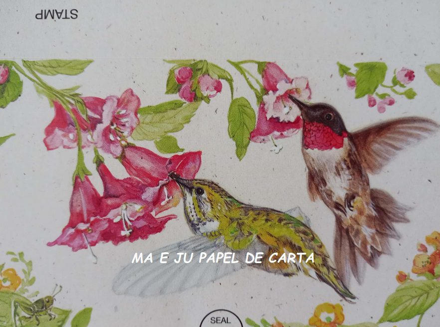 POSTALETTES BICHINHO IMPORTADO = POST81 - Imagem 2