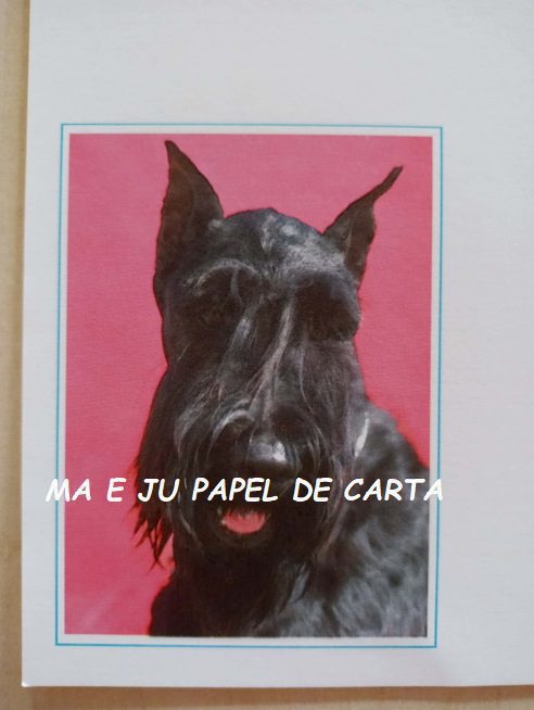 PAULA PRESENTS – VAGABOND CAPA + PAPEL IMPORTADO = PV22 - Imagem 5