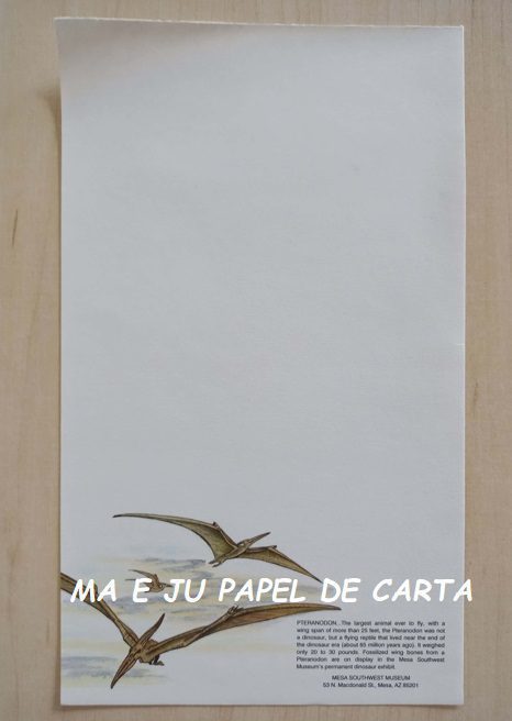 PAULA PRESENTS – VAGABOND 06 FOLHAS AVULSA IMPORTADA = PV32 - Imagem 5