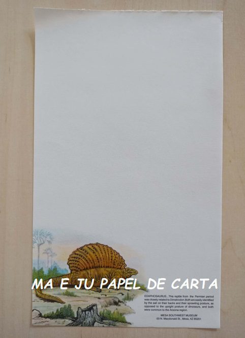 PAULA PRESENTS – VAGABOND 06 FOLHAS AVULSA IMPORTADA = PV32 - Imagem 6