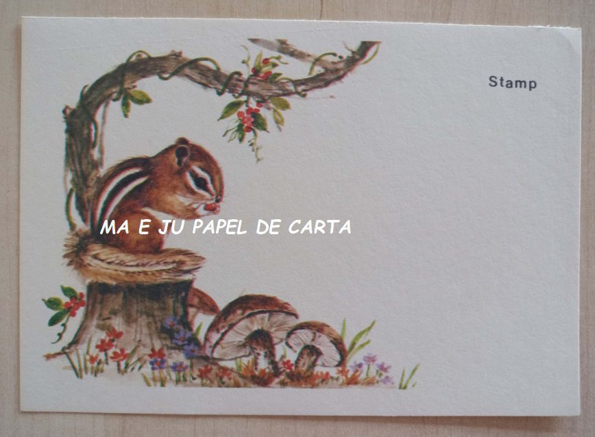 POSTCARD BICHINHOS IMPORTADO = PT15 - Imagem 2