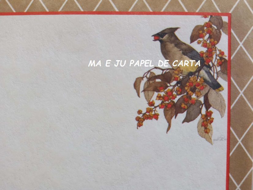 BICHINHO BIRD CONJUNTO IMPORTADO = PAPEL + ENVELOPE - BI142 - Imagem 3