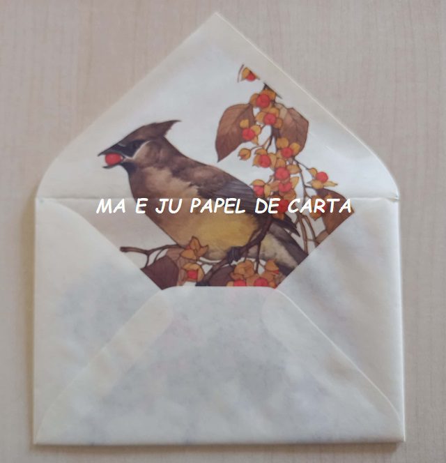 BICHINHO BIRD CONJUNTO IMPORTADO = PAPEL + ENVELOPE - BI142 - Imagem 4