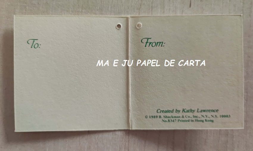 MENININHAS CARTÃO IMPORTADO = MEN445 - Imagem 3