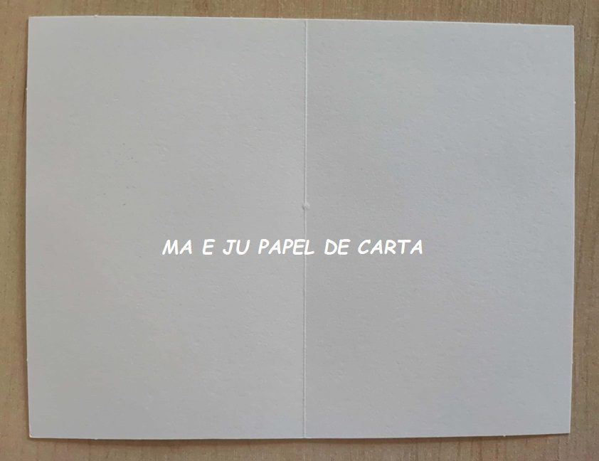MENININHAS CARTÃO IMPORTADO = MEN417 - Imagem 4