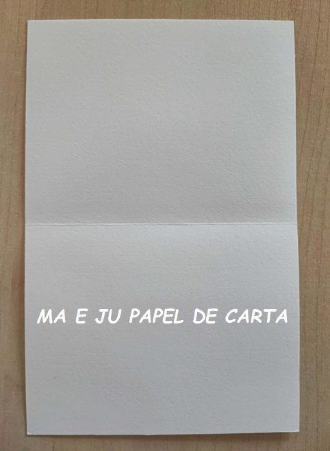 MENININHAS CARTÃO IMPORTADO = MEN418 - Imagem 2