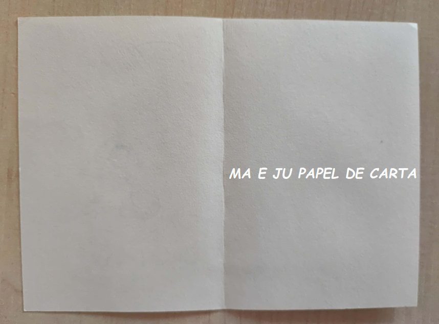 MENININHAS CARTÃO IMPORTADO = MEN422 - Imagem 3