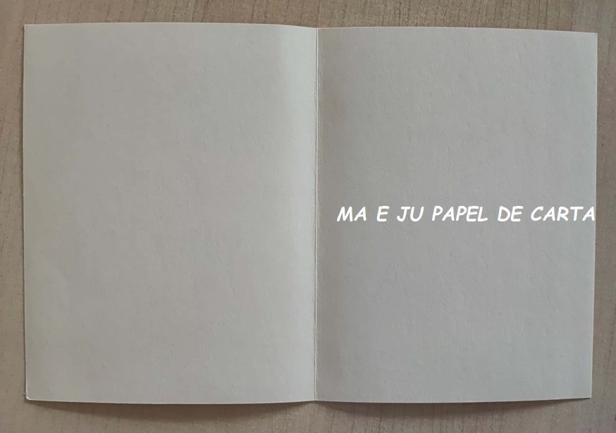 MENININHAS CARTÃO IMPORTADO = MEN428 - Imagem 3