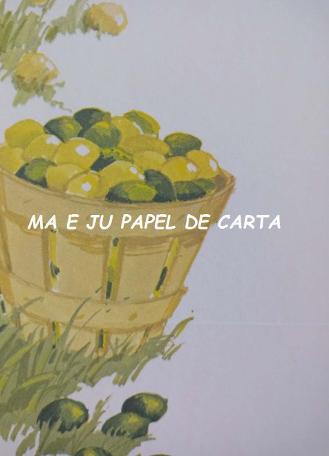 POSTALETTES FLORES IMPORTADO = POST113 - Imagem 2