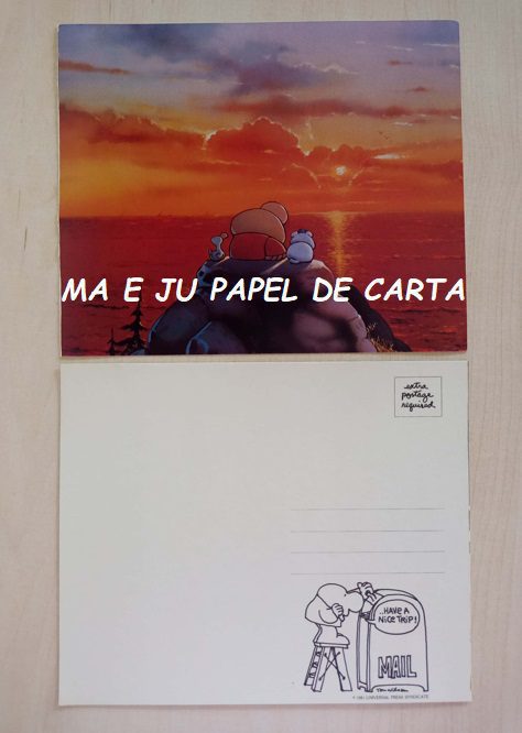 ZIGGY POSTCARD IMPORTADO = ZI13