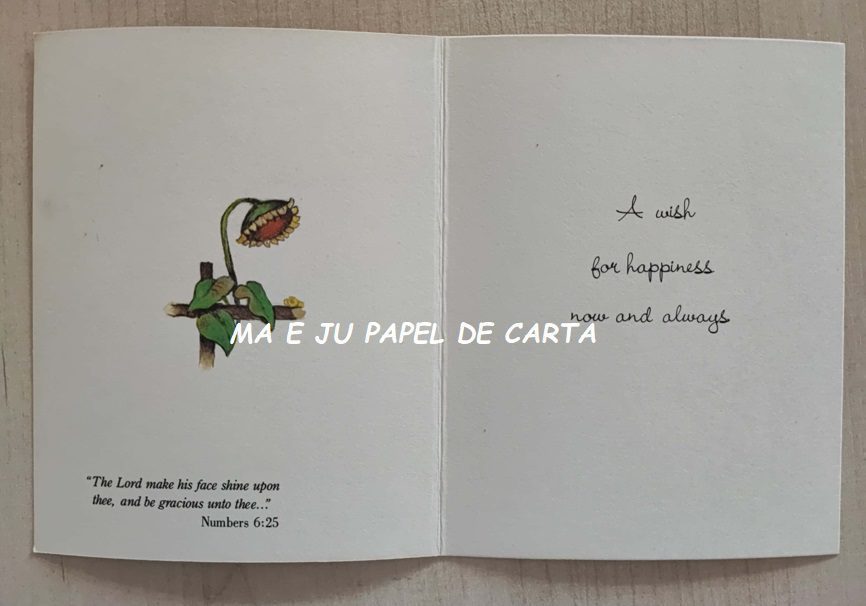ANNELIESE MENININHAS CARTÃO IMPORTADO = AN19 - Imagem 3