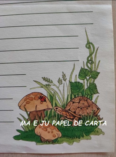 BICHINHO TURTLE FOLHA AVULSA IMPORTADA = BI258 - Imagem 2