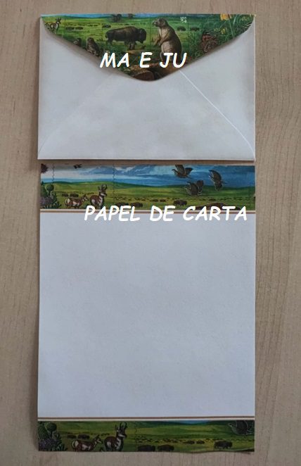 BICHINHO CONJUNTO IMPORTADO = PAPEL + ENVELOPE – BI200