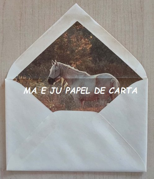 BICHINHO HORSE CONJUNTO IMPORTADO = PAPEL + ENVELOPE – BI228 - Imagem 4