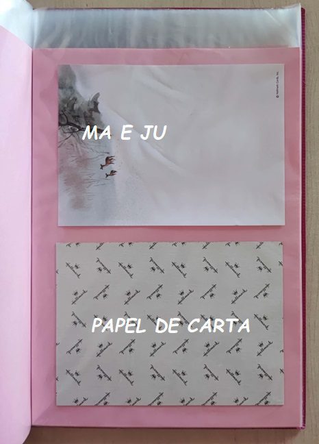 BICHINHOS CONJUNTO IMPORTADO = CAPA + PAPEL – BI218 - Imagem 5