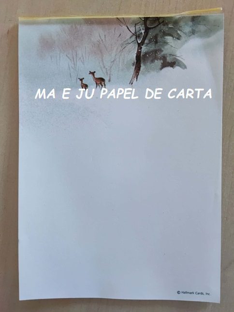 BICHINHOS CONJUNTO IMPORTADO = CAPA + PAPEL – BI218 - Imagem 3