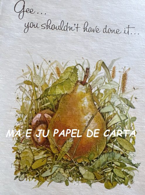 HOLLY HOBBIE NOTECARD IMPORTADO = HH686 - Imagem 3