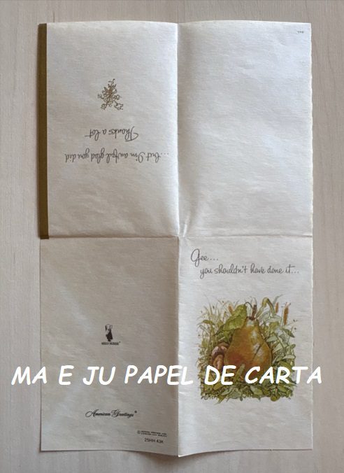 HOLLY HOBBIE NOTECARD IMPORTADO = HH686 - Imagem 2