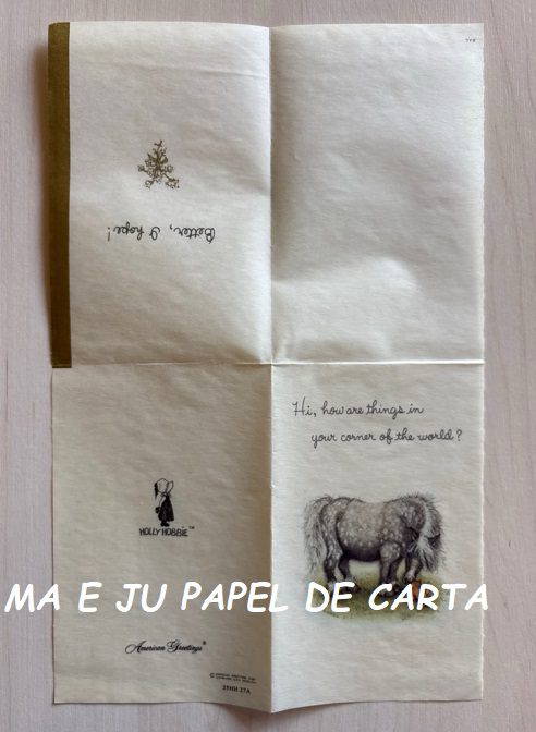HOLLY HOBBIE NOTECARD IMPORTADO = HH687 - Imagem 2