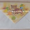 BICHINHO CAT CONJUNTO IMPORTADO = PAPEL + ENVELOPE – BI110 - Image 4