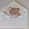 BICHINHO CAT (TIGER) CONJUNTO IMPORTADO = PAPEL + ENVELOPE – BI134 - Image 4