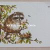 POSTCARD BICHINHOS IMPORTADO = PT17 - Image 2