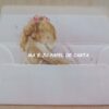 JULIA CONJUNTO IMPORTADO = PAPEL + ENVELOPE – JU5 - Image 3