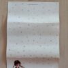 HOLLY HOBBIE POSTALETTES IMPORTADO = HH282