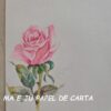 FLORES CONJUNTO IMPORTADO = CAPA + PAPEL – FP67 - Image 8