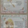 PRECIOUS MOMENTS MINI FOLHA DECORADA SCRAPBOOKING IMPORTADA = PM160