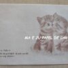 BICHINHO CAT CONJUNTO IMPORTADO = PAPEL + ENVELOPE – BI591 - Image 3