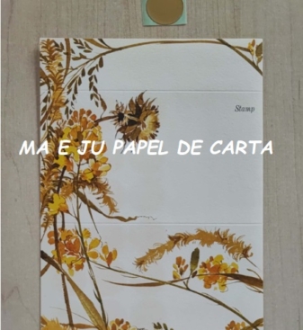 CAPA + CONJUNTO 194.12