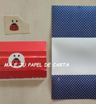 CAPA + CONJUNTO 229.8