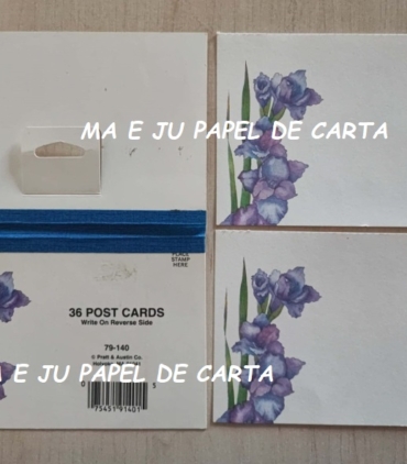 CAPA + CONJUNTO 231.10