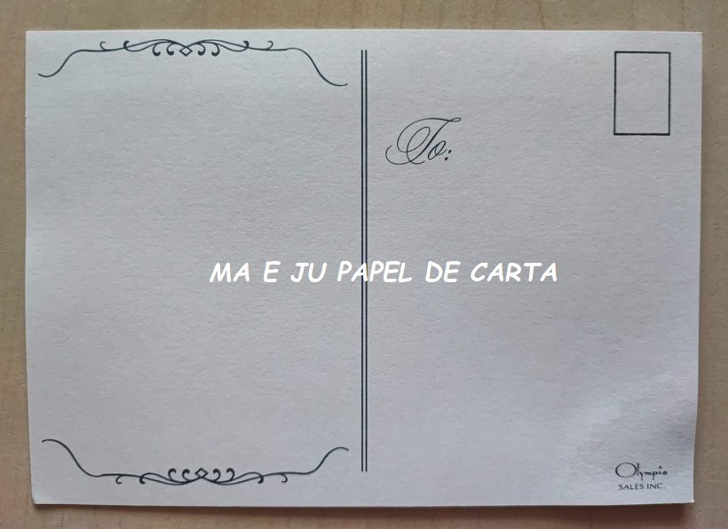BICHINHOS BEAR CONJUNTO IMPORTADO = PAPEL + ENVELOPE + PAPEL MINI + POSTCARD – BI808 - Imagem 11