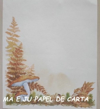 CAPA + CONJUNTO 269.18