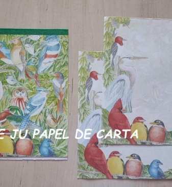 CAPA + CONJUNTO 276.9