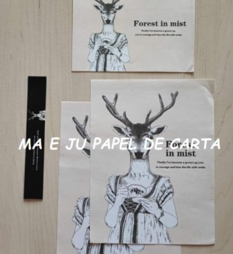 CAPA + CONJUNTO 290.7