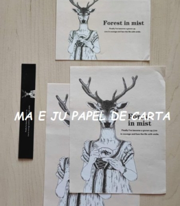 CAPA + CONJUNTO 290.7