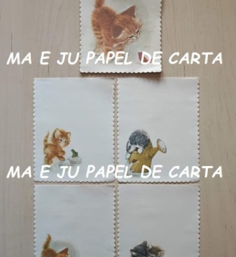 CAPA + CONJUNTO 299.15