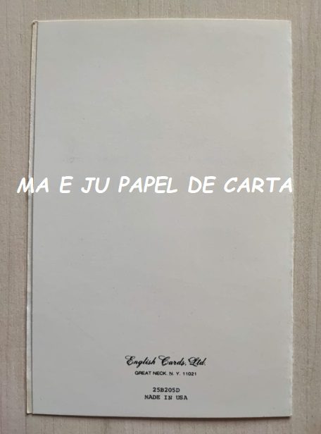 MENININHAS LEE CARTÃO IMPORTADO = MEN1427 - Imagem 2