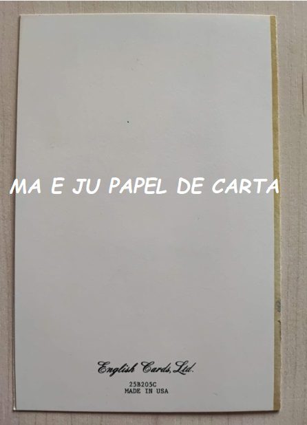 MENININHAS LEE CARTÃO IMPORTADO = MEN1428 - Imagem 2