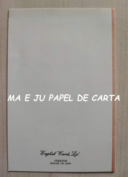MENININHAS LEE CARTÃO IMPORTADO = MEN1429 - Imagem 2