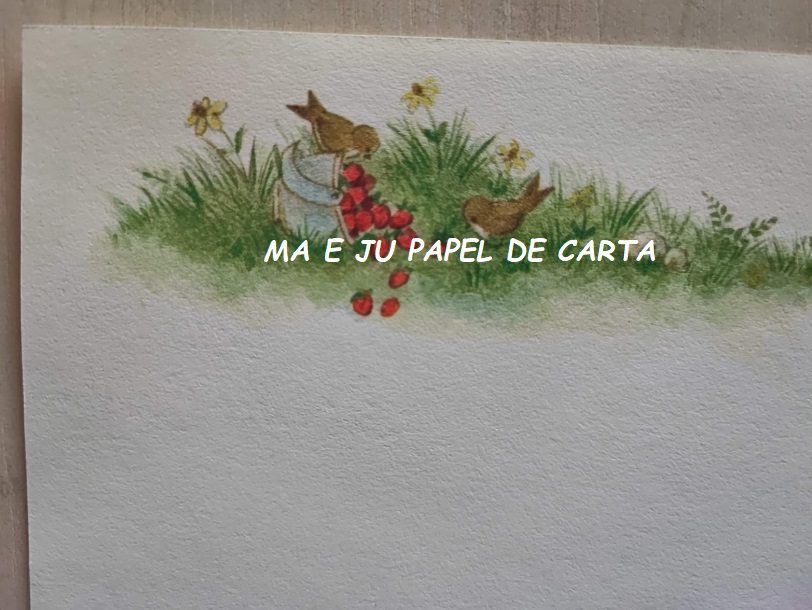 MENININHAS CONJUNTO IMPORTADO HALLMARK = PAPEL + ENVELOPE – MEN1421 - Imagem 3