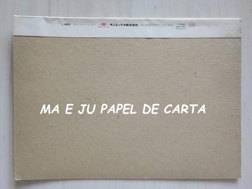 MENININHAS CARROT - SAN-X CHIZURU CONJUNTO IMPORTADO = CAPA + PAPEL – DV65 - Imagem 3