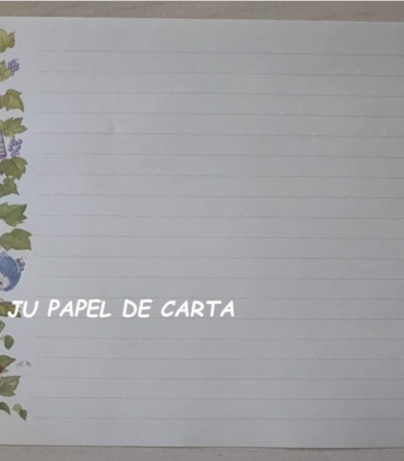 CAPA + CONJUNTO 307.17