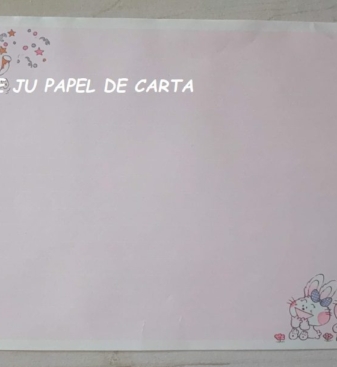 CAPA + CONJUNTO 309.17