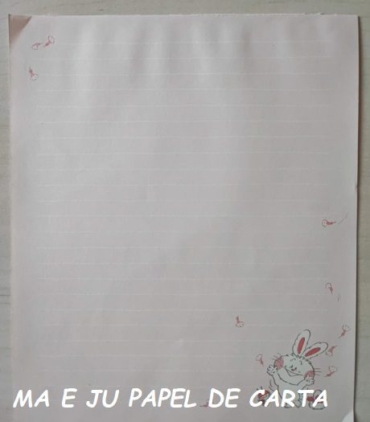 CAPA + CONJUNTO 310.17