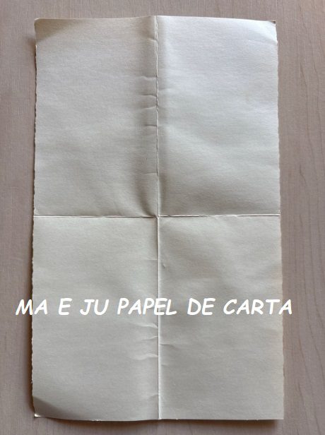 ELENA URCHINS NOTECARD IMPORTADO = EU24 - Imagem 4